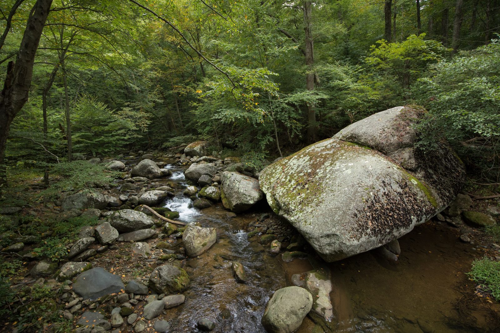 A stream running through medium to large rocks